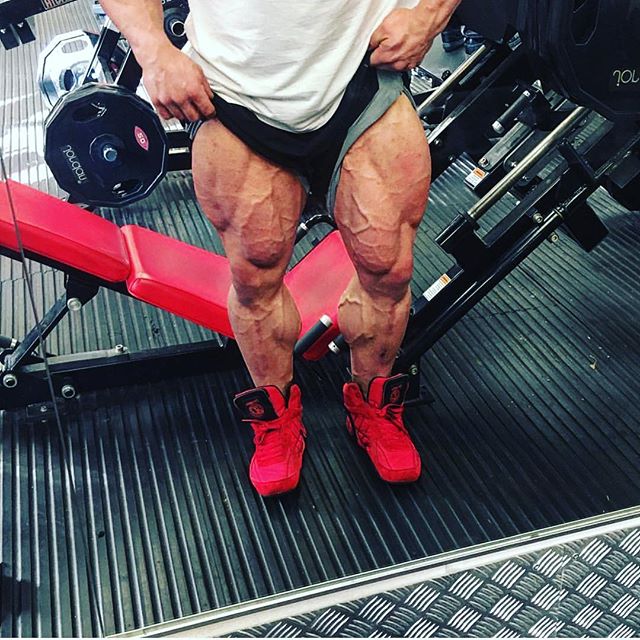 Leg day today? Push em hard like Luke Sandoe   .
Check us out  .gold
.