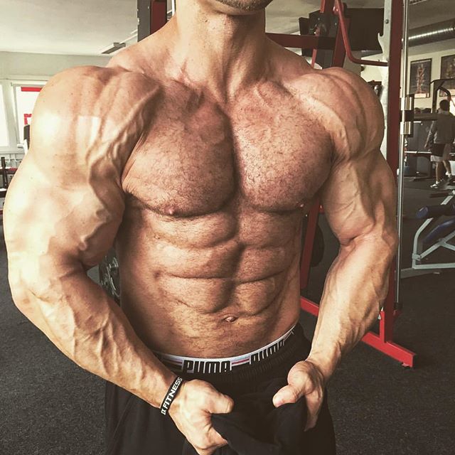 bodybuilding.gold instagram