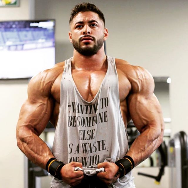 bodybuilding.gold instagram