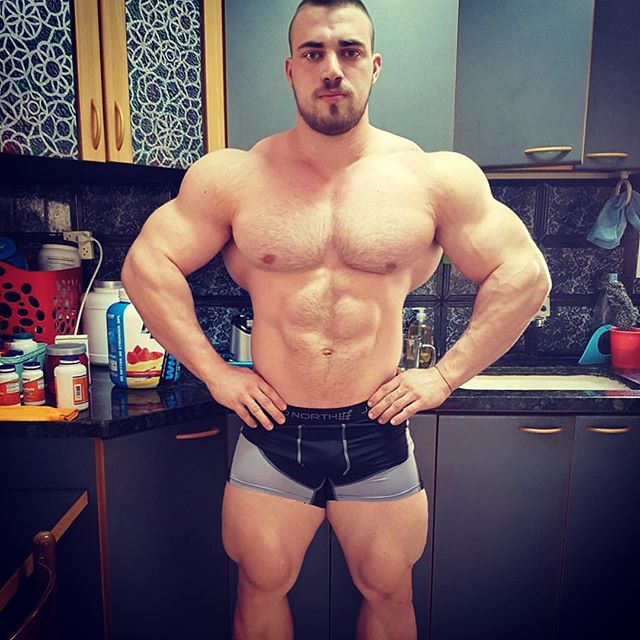 bodybuilding.gold instagram