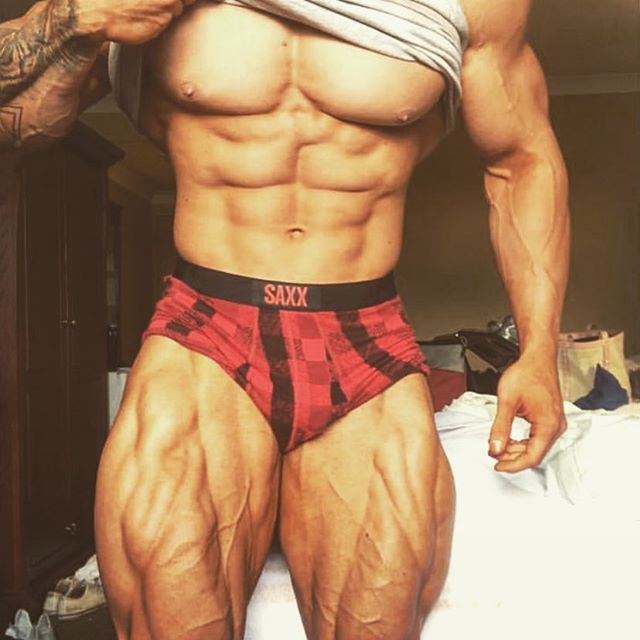 bodybuilding.gold instagram