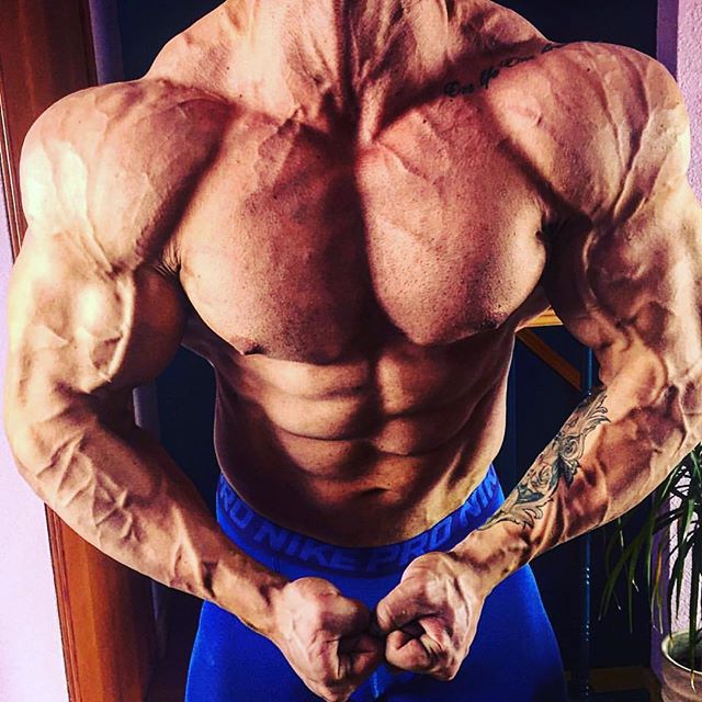 bodybuilding.gold instagram