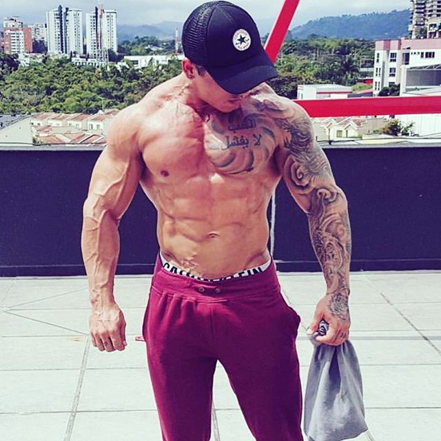 bodybuilding.gold instagram