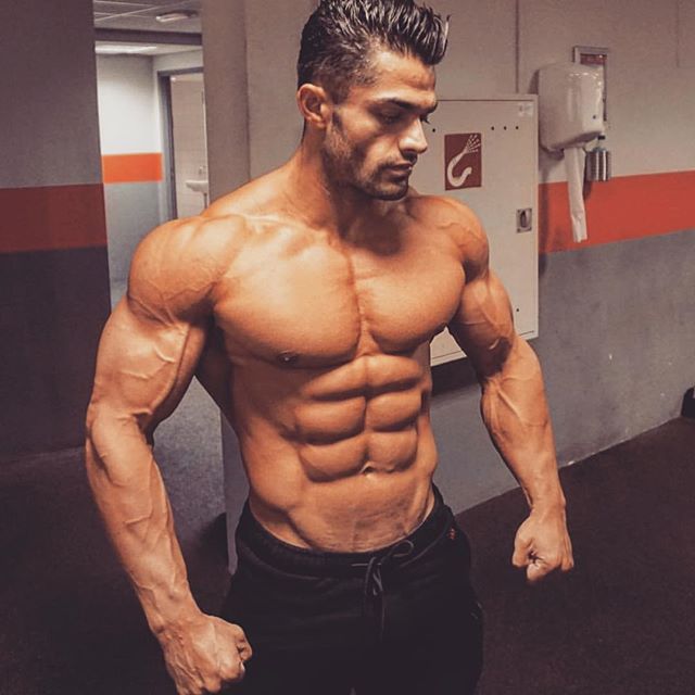 bodybuilding.gold instagram