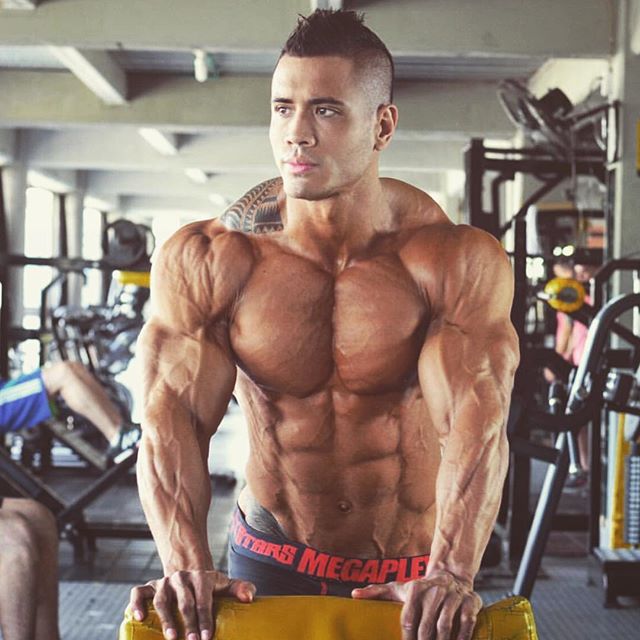 bodybuilding.gold instagram