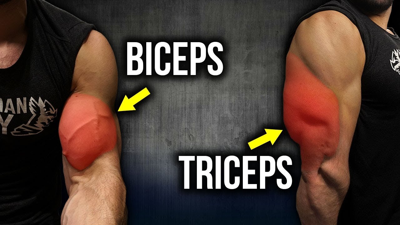 5 KILLER Biceps & Triceps Exercises (FULL BIG ARMS WORKOUT